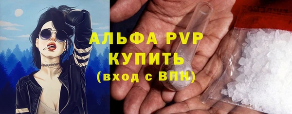 хмурый Лиски