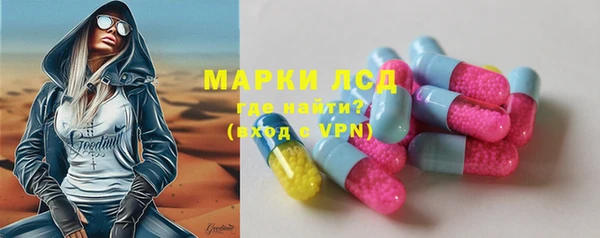 гидра Липки