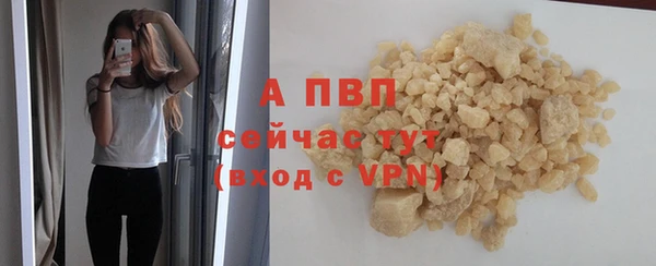 гидра Липки