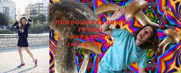 гидра Липки