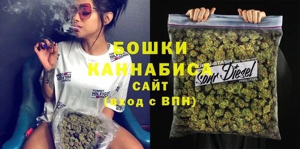 гидра Липки
