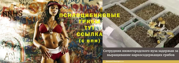 хмурый Лиски