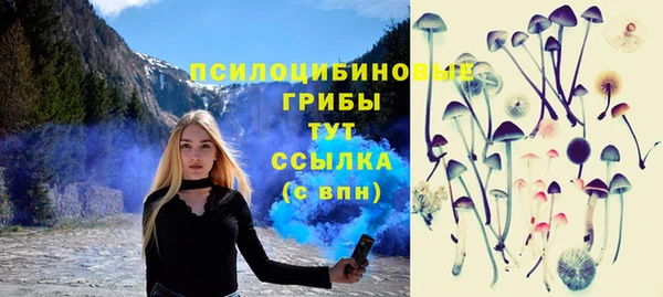 гидра Липки