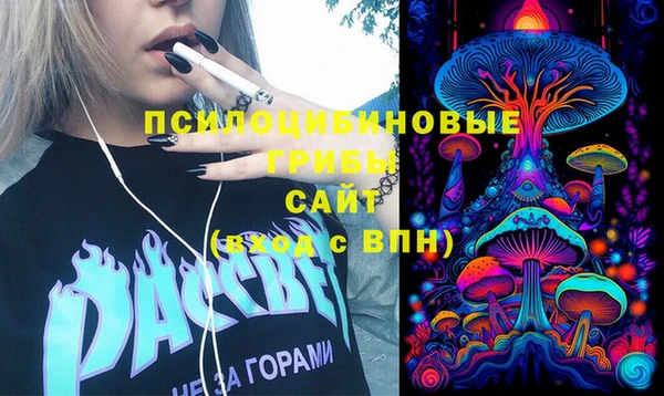 хмурый Лиски