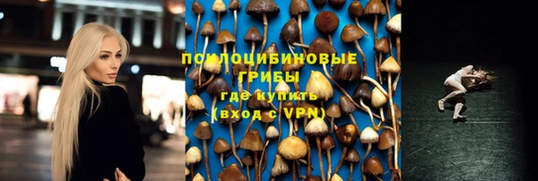 гидра Липки