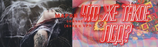 хмурый Лиски