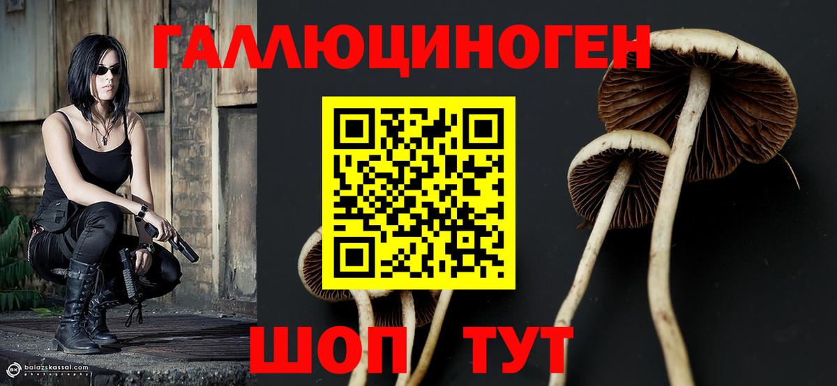 Галлюциногенные грибы Cubensis Новотроицк