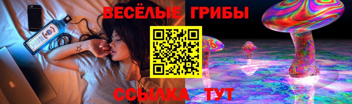 Альфа ПВП СК   COCAIN  ГАШИШ  Новотроицк  Экстази  Меф   ГАШ  Конопля  NBOMe  Конопля  Вход с VPN 
